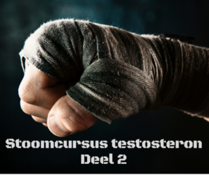 testosteron, stoomcursus