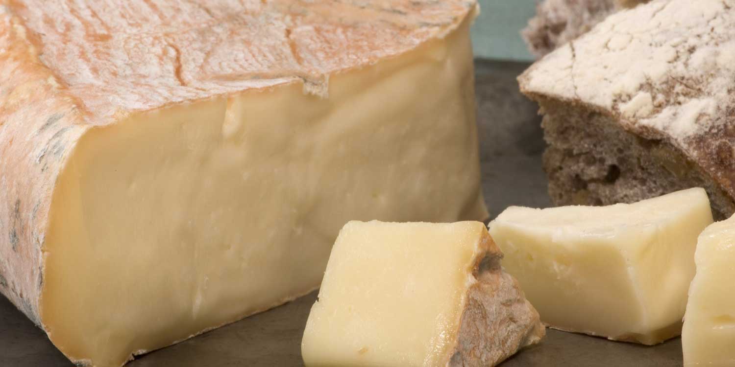 rode schimmelkaas SPF